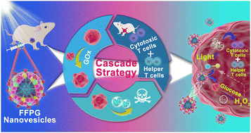 Graphical abstract: Self-assemblies with cascade effect to boost antitumor systemic immunotherapy