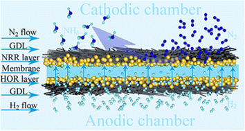 Graphical abstract: Pressurized N2 directly fed to the RuAu/CeO1.76 catalyst porous electrode in a proton exchange membrane electrolyzer favoring electrochemical NH3 production