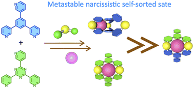 Graphical abstract: Kinetically controlled narcissistic self-sorting of Pd(ii)-linked self-assemblies from structurally similar tritopic ligands