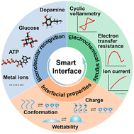Graphical abstract: Stimuli-responsive polymers for interface engineering toward enhanced electrochemical analysis of neurochemicals