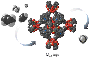 Graphical abstract: Selective gas adsorption by calixarene-based porous octahedral M32 coordination cages