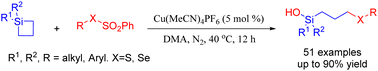 Graphical abstract: Cu-catalyzed efficient construction of S (Se)-containing functional organosilicon compounds