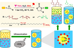 Graphical abstract: Hydrophobically-enhanced “on water” cycloaddition of CO2 to long-chain terminal epoxides