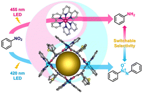 Graphical abstract: Light-switched selective catalysis with NADH mimic functionalized metal–organic capsules