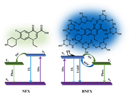 Graphical abstract: Efficient blue TADF-type organic afterglow material via boric acid-assisted confinement