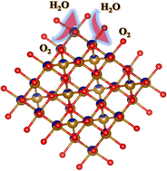 Graphical abstract: Ultrafine CoFe2O4 quantum dots as an oxygen electrocatalyst for rechargeable zinc air batteries