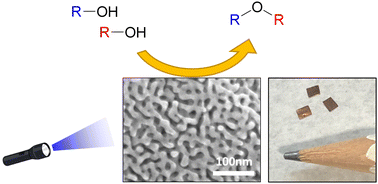 Graphical abstract: Photocatalytic dehydrative etherification of alcohols with a nanoporous gold catalyst