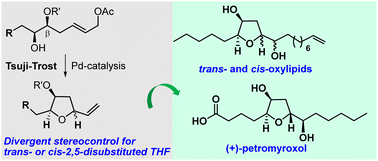 Graphical abstract: Protecting-group-directed stereodivergent Tsuji–Trost cyclization: total synthesis of oxylipids and (+)-petromyroxol