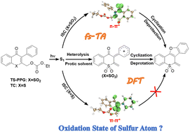 Graphical abstract: To photodeprotect or not: effect of the oxidation state of the sulfur atom of thiochromone derivatives