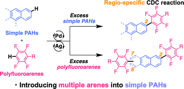 Graphical abstract: Unique regioselectivity of the Pd-catalysed cross-dehydrogenative coupling reaction of simple polyaromatic hydrocarbons with polyfluoroarenes