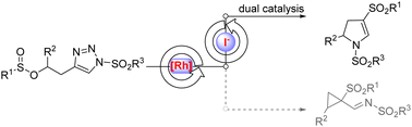 Graphical abstract: Synthesis of dihydropyrroles from in situ-generated zwitterions via Rh2(adc)4/TBAI dual catalysis