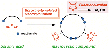 Graphical abstract: Boroxine template for macrocyclization and postfunctionalization