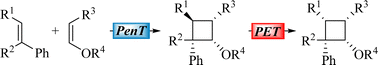 Graphical abstract: From energy to electron transfer photocatalysis (PenT → PET): oxidative cyclobutane cleavage alters the product composition