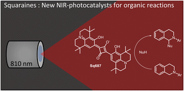 Graphical abstract: Squaraines as near-infrared photocatalysts for organic reactions