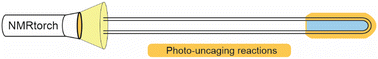 Graphical abstract: Controlled release and characterisation of photocaged molecules using in situ LED illumination in solution NMR spectroscopy