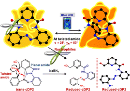 Graphical abstract: Macrocyclic enforcement of twist in a secondary amide: reactivity and influence on photoisomerisation