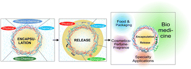 Graphical abstract: A decade of developing applications exploiting the properties of polyelectrolyte multilayer capsules