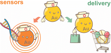 Graphical abstract: Gold nanoparticles: current and upcoming biomedical applications in sensing, drug, and gene delivery
