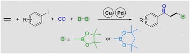 Graphical abstract: Cooperative Cu/Pd-catalyzed borocarbonylation of ethylene