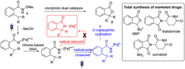 Graphical abstract: Iron/photoredox dual catalysis for acyl nitrene-based C–O bond formation towards phthalides