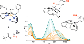 Graphical abstract: Unprotected amine transfer performed by non-heme iron(ii) complexes