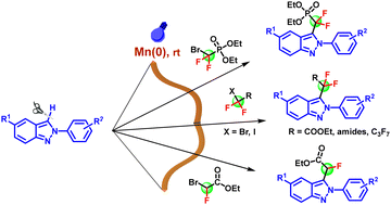 Graphical abstract: Visible-light-induced Mn(0)-catalyzed direct C-3 mono-, di- and perfluoroalkylation reactions of 2H-indazoles