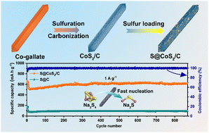 Graphical abstract: Gallate-MOF derived CoS2/C composites as an accelerated catalyst for room-temperature sodium–sulfur batteries
