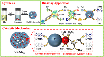 Graphical abstract: Copper–carbon dot aerogel: a high-performance mimetic peroxidase and its application for versatile colorimetric bioassays