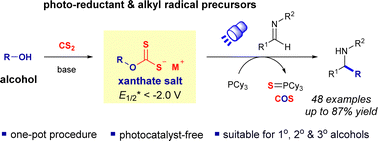 Graphical abstract: Visible-light-driven photocatalyst-free deoxygenative alkylation of imines with alcohols