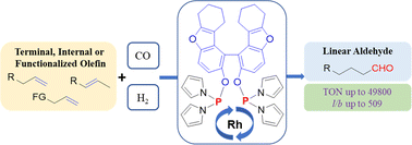 Graphical abstract: A diphosphoramidite ligand for hydroformylation of various olefins