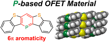 Graphical abstract: Phosphaacene as a structural analogue of thienoacenes for organic semiconductors