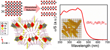 Graphical abstract: (BA)10AgBi2Br19: a one-dimensional halide double perovskite with a unique Br trimer