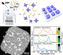 Graphical abstract: One-step synthesis of epitaxial 3D/2D metal halide perovskite heterostructures