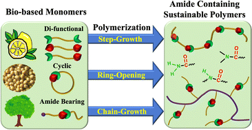 Graphical abstract: Bio-based monomers for amide-containing sustainable polymers
