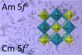 Graphical abstract: Hexanitrato complexes and hybrid double perovskites of Am3+ and Cm3+