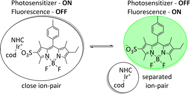 Graphical abstract: Switched fluorescence and photosensitization based on reversible ion-pairing