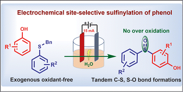 Graphical abstract: Electrochemical sulfinylation of phenols with sulfides: a metal- and oxidant-free cross-coupling for the synthesis of aromatic sulfoxides