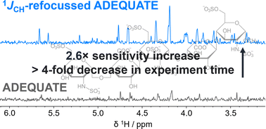 Graphical abstract: More than ADEQUATE: doubling the sensitivity of 13CH–13CH correlations in double-quantum NMR experiments