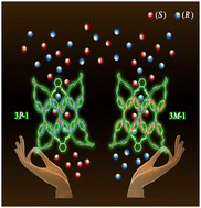 Graphical abstract: Chiral emissive porous organic cages