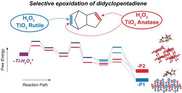 Graphical abstract: Structure-sensitive epoxidation of dicyclopentadiene over TiO2 catalysts