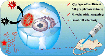 Graphical abstract: A novel AIEgen photosensitizer with an elevated intersystem crossing rate for tumor precise imaging and therapy