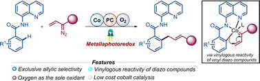 Graphical abstract: A switch to vinylogous reactivity of vinyl diazo esters for the C–H allylation of benzamides by merging cobalt and photoredox catalysis