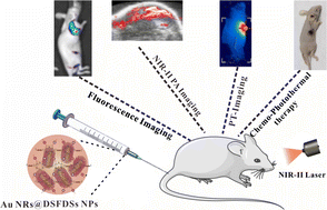 Graphical abstract: Drug self-framework delivery system-coated gold nanorods for multi-modal imaging and combination therapy for breast cancer