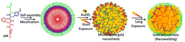 Graphical abstract: Short peptide amphiphile nanostructures facilitate sunlight-induced nanowelding of gold nanosheets