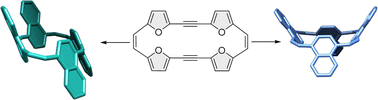 Graphical abstract: Transformation of π-conjugated macrocycles: from furanophanes to napthalenophanes