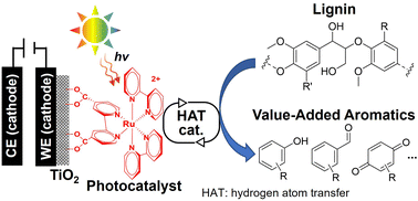 Graphical abstract: Photoelectrochemical approaches for the conversion of lignin at room temperature