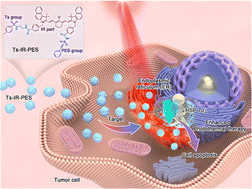 Graphical abstract: A heat shock protein-inhibiting molecular photothermal agent for mild-temperature photothermal therapy