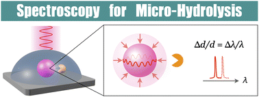 Graphical abstract: Degradable optical resonators as in situ microprobes for microscopy-based observation of enzymatic hydrolysis