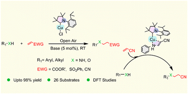 Graphical abstract: Understanding cyclic(alkyl)(amino)carbene–copper complex catalysed N–H and O–H bond addition to electron deficient olefins