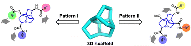 Graphical abstract: Asymmetric construction of densely functionalized three-dimensional aza-tetracyclic scaffolds for drug discovery